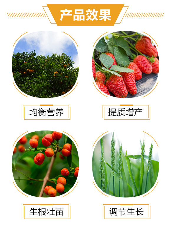 護(hù)果國際1_03