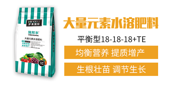 護(hù)果國際1_02