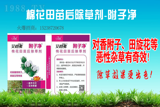氯吡嘧磺隆除草劑價(jià)格2021.2.4