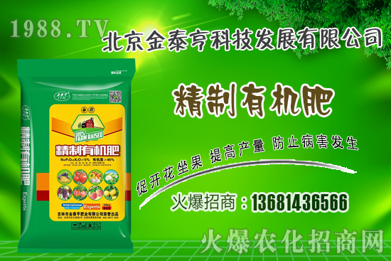 春季草莓該如何管理?草莓肥水管理技術!