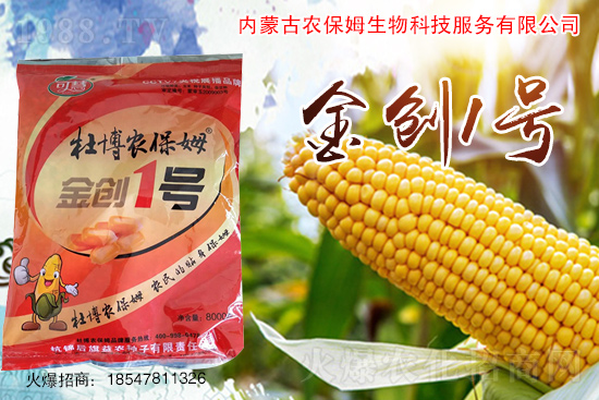 2021年玉米種子怎么選?2021年優(yōu)質(zhì)玉米種子推薦