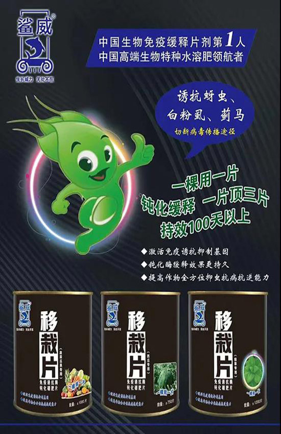 作物移栽時(shí),怎么做能有效避免蟲(chóng)害呢?