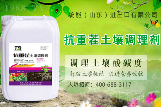 板栗種植怎么選苗子?板栗種植管理要點!