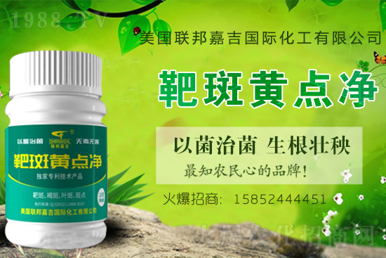 2021年西北一作區(qū)馬鈴薯生產(chǎn)技術意見