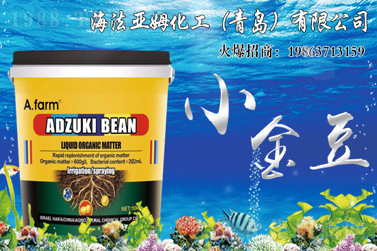 海法亞姆