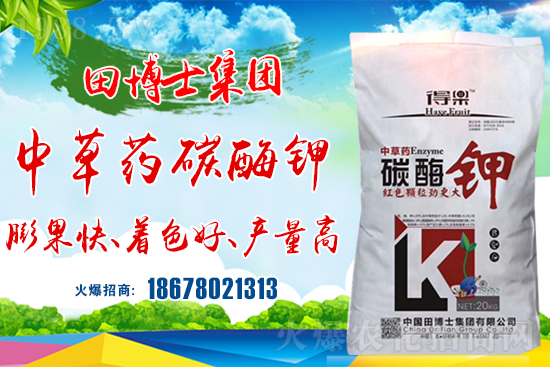 合作關系再升華!田博士集團續(xù)約1988.TV,共謀合作新發(fā)展!