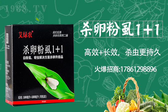三邦農(nóng)業(yè)再度攜手1988.TV,攜手共創(chuàng)新戰(zhàn)績(jī)!