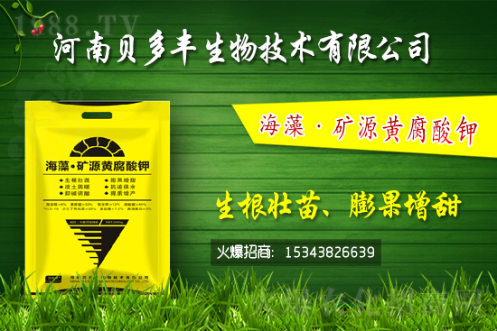 果樹(shù)黃化的原因是缺鐵嗎?果樹(shù)黃化噴施硫酸亞鐵怎么樣?