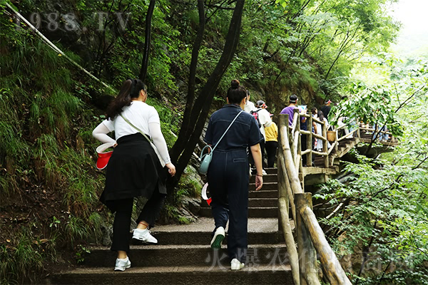 暢游老君山,登峰悟真經(jīng)