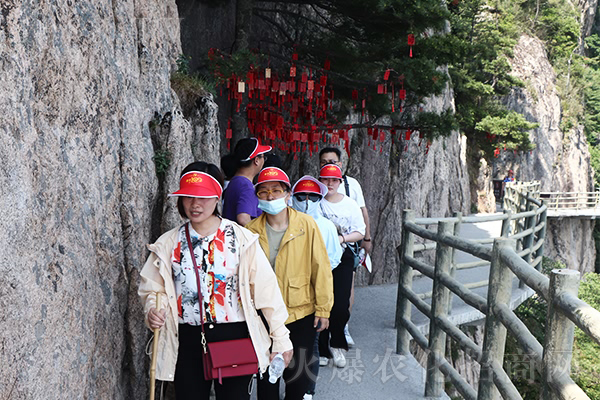 走進(jìn)老君山,觀君山飛瀑,覽巖林奇觀,品老子道統(tǒng)