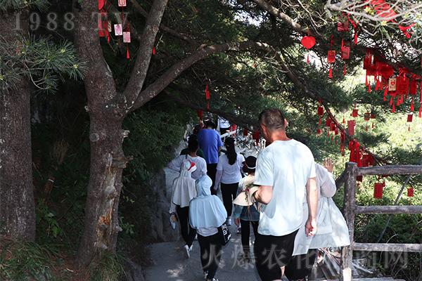 老子《道德經(jīng)》:悟道,反思不足,正確做事