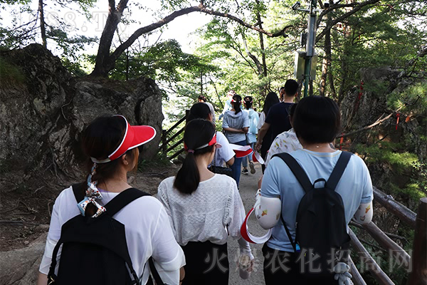 登老君山,學(xué)國學(xué)文化!