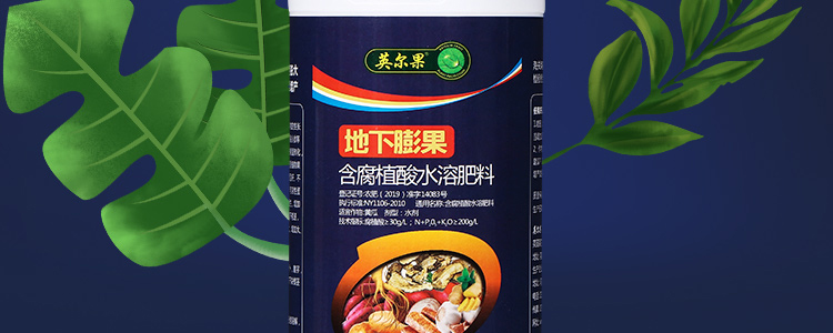 地下膨果_03