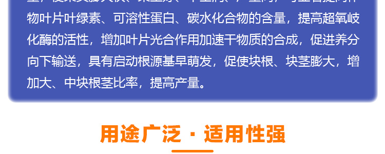 地下膨果_09