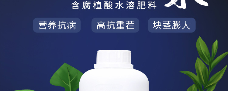 地下膨果_02