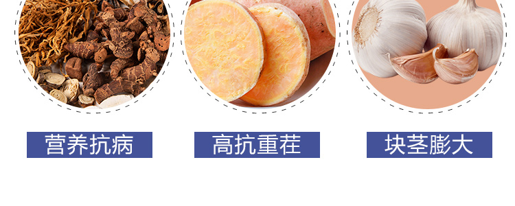 地下膨果_15