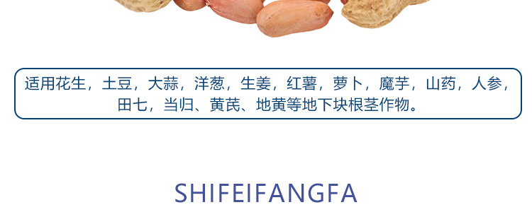 地下膨果_11
