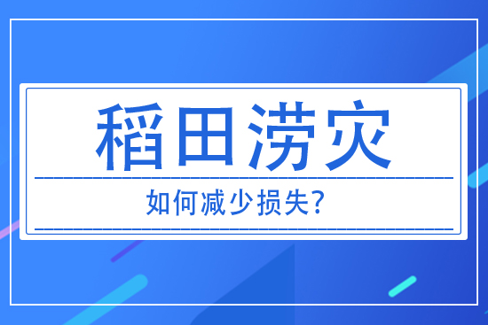 稻田澇災(zāi)發(fā)生后,如何減少損失?