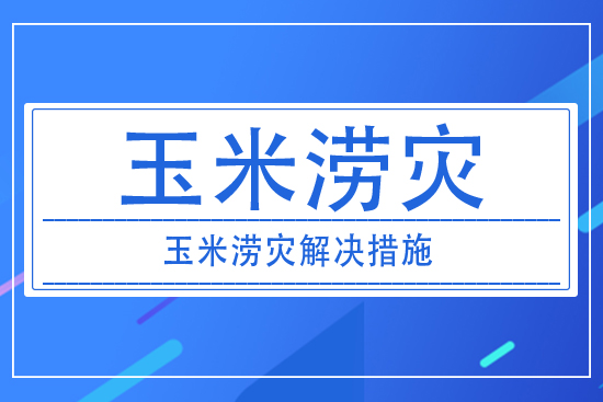 澇災(zāi)對(duì)玉米產(chǎn)量有什么影響?玉米澇災(zāi)采取措施解決?