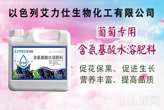 艾力仕