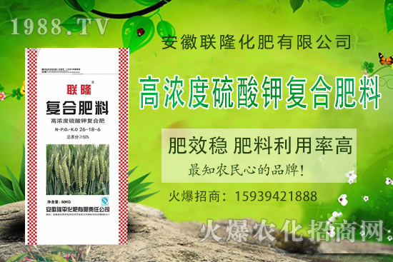 合作關系再升華!聯(lián)隆化肥續(xù)約1988.TV,共謀合作新發(fā)展!