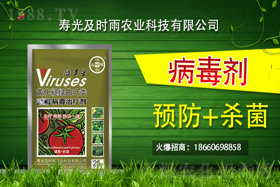 壽光及時(shí)雨再牽手火爆農(nóng)化網(wǎng),為農(nóng)資行業(yè)注入新動(dòng)力!