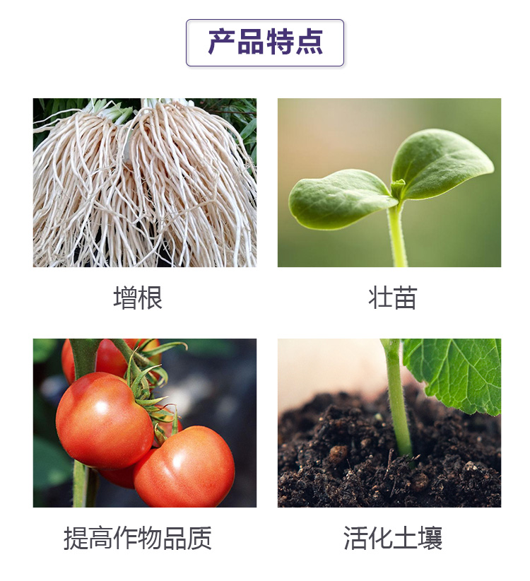 格蘭富品牌畫冊(cè)_03