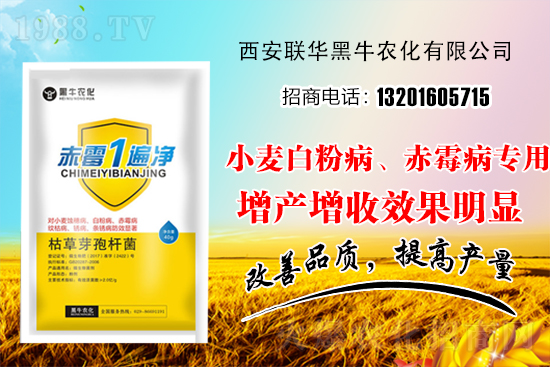 糧食價格
