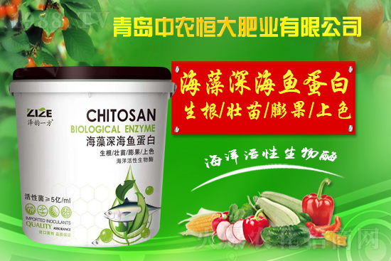 【中農(nóng)恒大】祝全國人民新年快樂,虎氣十足,財(cái)源滾滾!