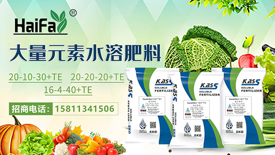 【以色列海法科貿(mào)】祝農(nóng)資經(jīng)銷商朋友們2022新年快樂(lè),恭喜發(fā)財(cái)!