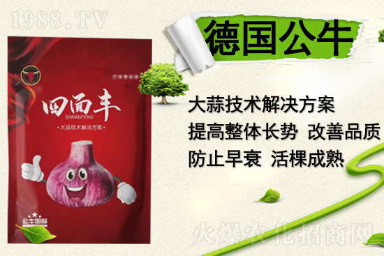 【德國公!孔4蠹以谛碌囊荒昀镄腋C罎M,闔家歡樂!
