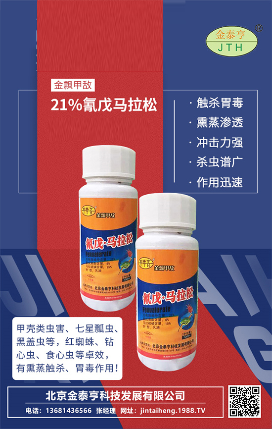 【北京金泰亨】祝廣大朋友們財運滾滾,新年快樂,虎年大吉!