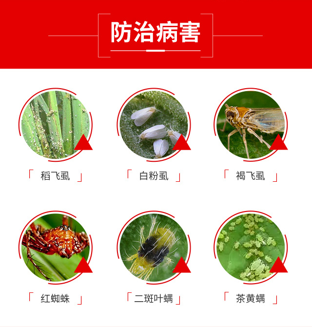 強農(nóng)螨打螨算-強農(nóng)_04