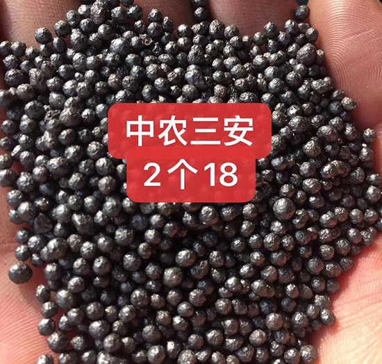 顆粒