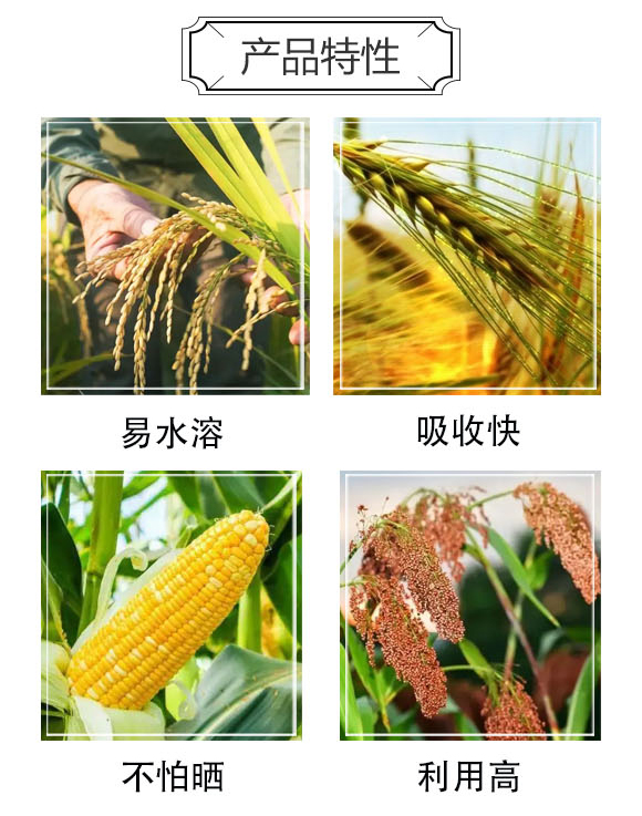 ЙC-󻯷ʘI(y)_03
