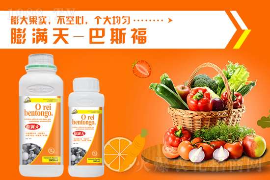 2022年2月15日磷銨價格行情快訊