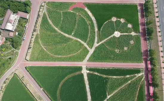 ذߌóɶNI(y)[(hu)n1118
