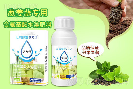 艾力仕