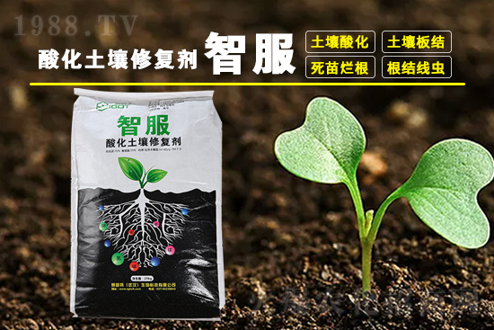 近期稻瘟酰胺殺菌劑價(jià)格(4月14)