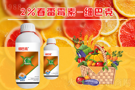 番茄潰瘍病怎么辦?聽(tīng)聽(tīng)專(zhuān)家怎么說(shuō)!