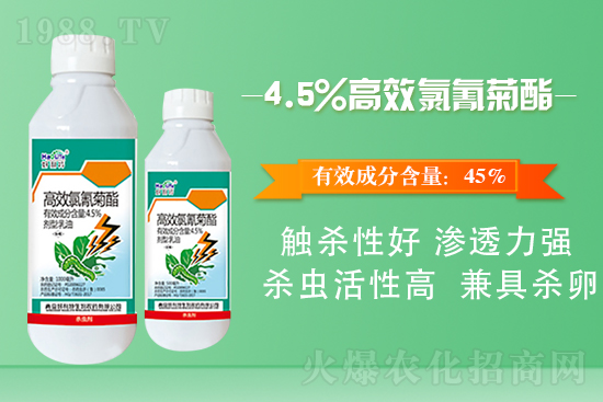 白菜菜青蟲(chóng)有什么危害?白菜菜青蟲(chóng)防治