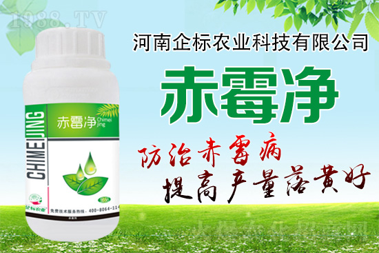 緊急提醒:未來十天是小麥赤霉病防治關鍵期!務必抓!