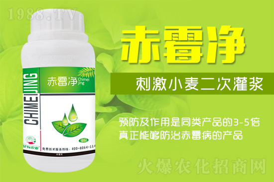 緊急提醒:未來十天是小麥赤霉病防治關鍵期!務必抓住!