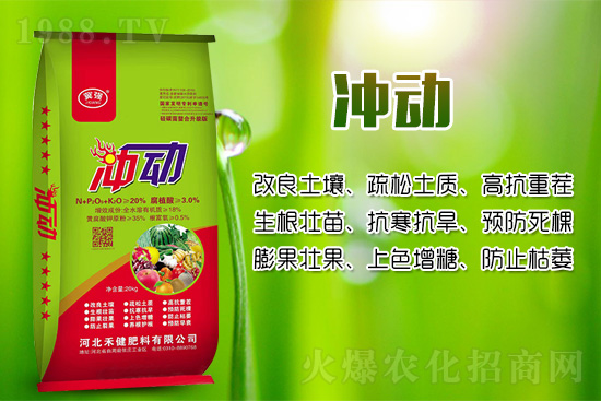 辣椒移栽后幼苗生長(zhǎng)緩慢的原因!