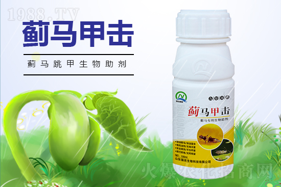 2022年棉花作物害蟲棉薊馬發(fā)生預報