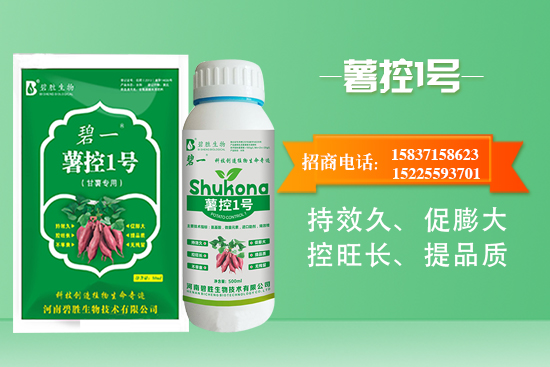 薯控