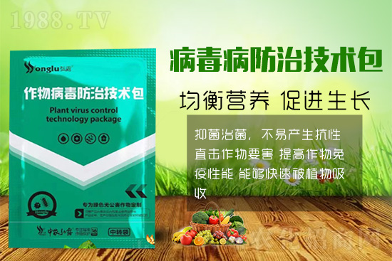 作物發(fā)生病毒病,危害重、難根治怎么辦?這些方法要牢記!