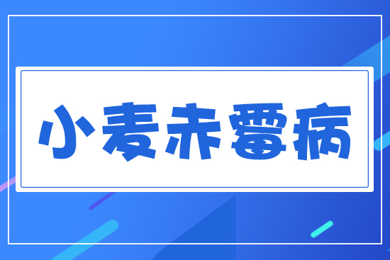 小麥赤霉病