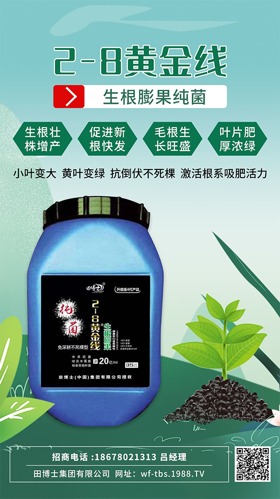 根是肥的嘴,萬物生長(zhǎng)靠根系!作物爆發(fā)生根試試這一招!