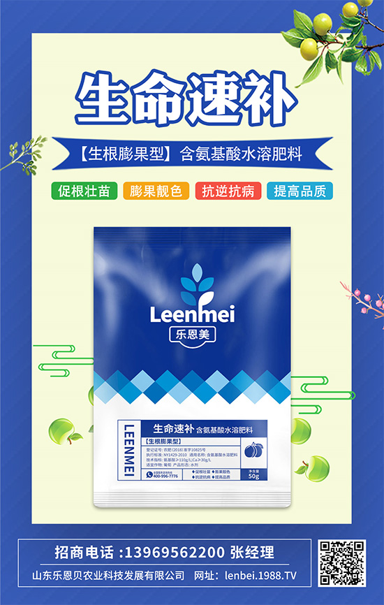 作物高產(chǎn)靠根系!打造強大根系,從這幾點開始!